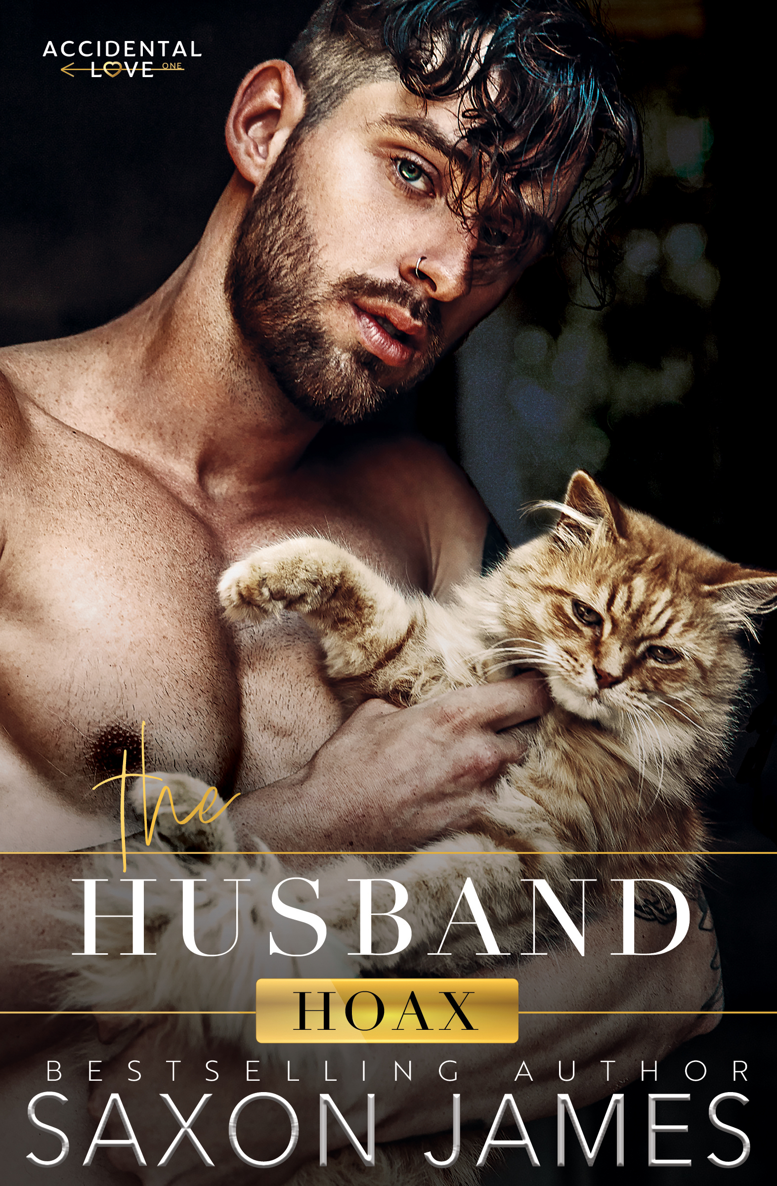 The Husband Hoax cover